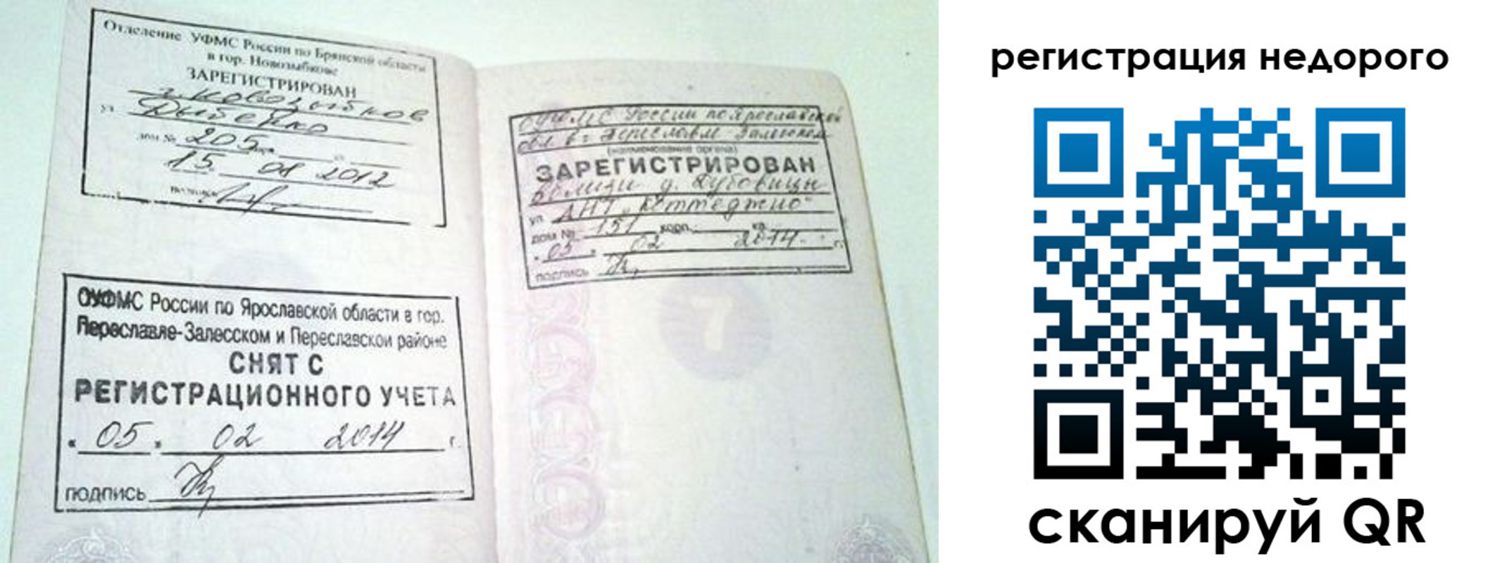 прописка поиск в Каргополе